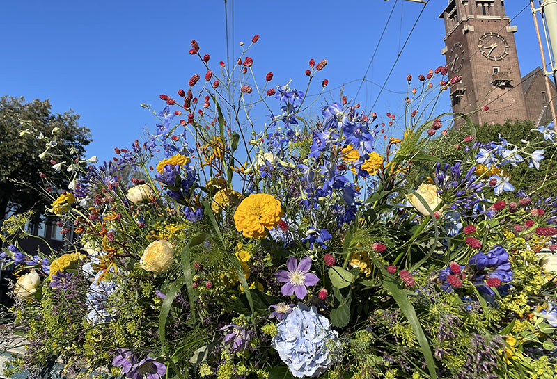 De zon in het blauw