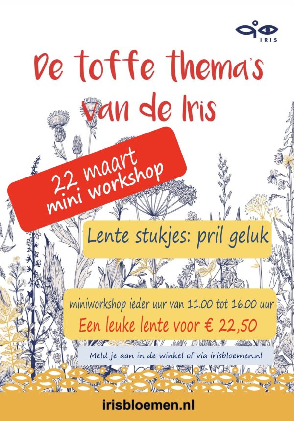 Mini workshop 22 maart<br>van 15:00 tot 16:00